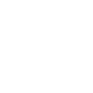 CSS